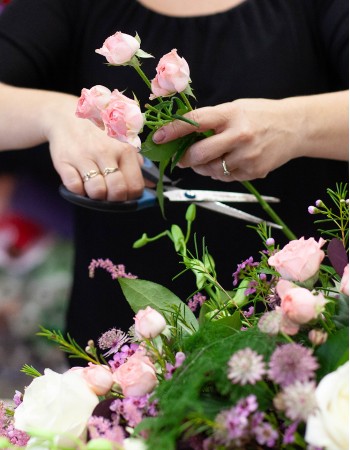 Florist's Choice