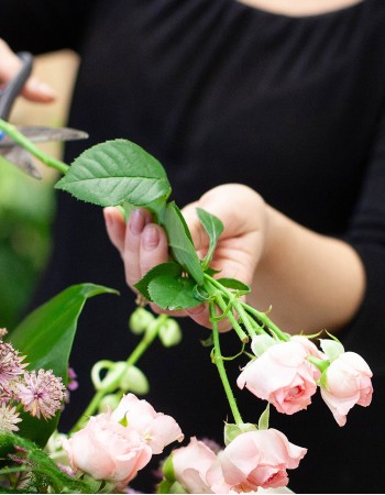 Florist's Choice