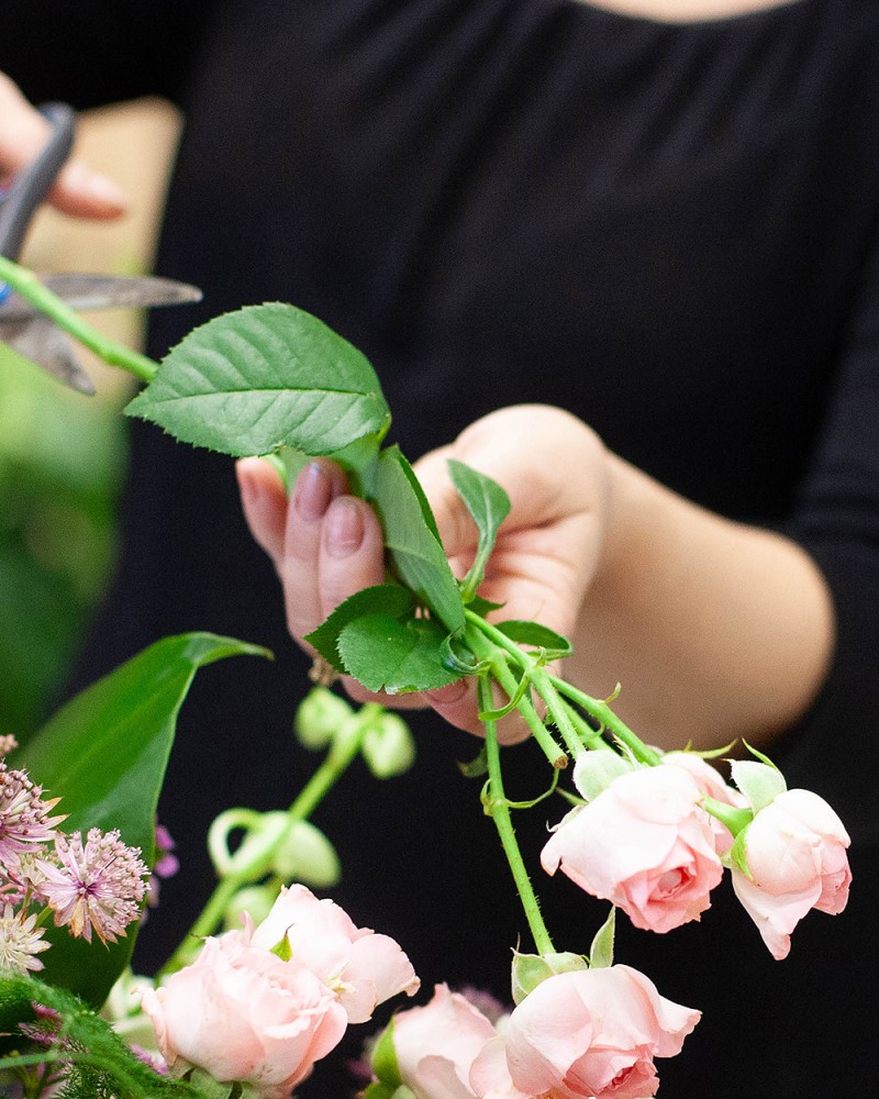 Florist's Choice